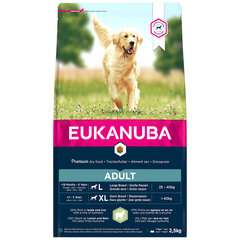 Eukanuba Adult Large Breeds, Lammasta ja riisiä, 2,5 kg hinta ja tiedot | Eukanuba Lemmikit | hobbyhall.fi