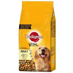 Pedigree ravinto aikuisille koirille kanan ja vihannesten kanssa, 15 kg hinta ja tiedot | Pedigree Lemmikit | hobbyhall.fi