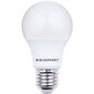 Blaupunkt LED-lamppu E27 A60 600lm 6W 4000K hinta ja tiedot | Lamput | hobbyhall.fi