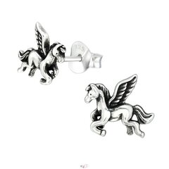 Hopeiset lasten korvakorut, Pegasus A4S39983 hinta ja tiedot | Lasten asusteet | hobbyhall.fi