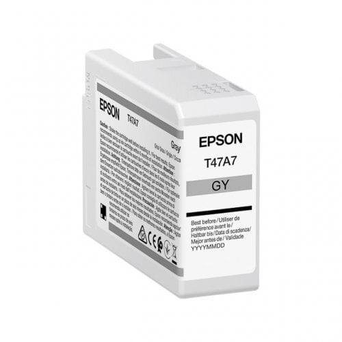 Epson Ink Gray T47A7 (C13T47A700) hinta ja tiedot | Mustekasetit | hobbyhall.fi