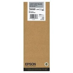 Epson Ink Light Light Black (C13T606900) hinta ja tiedot | Mustekasetit | hobbyhall.fi