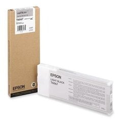 Epson Ink Light Black (C13T606700) hinta ja tiedot | Mustekasetit | hobbyhall.fi