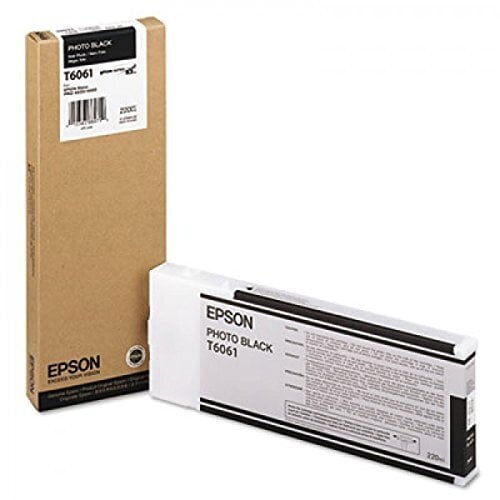 Epson Ink Photo Black (C13T606100)