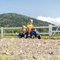 New Holland Suuri Falk traktori perävaunulla, sininen hinta ja tiedot | Poikien lelut | hobbyhall.fi