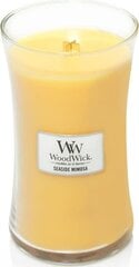 WoodWick Tuoksukynttilä Seaside Mimosa 609.5g hinta ja tiedot | WoodWick Huonekalut ja sisustus | hobbyhall.fi