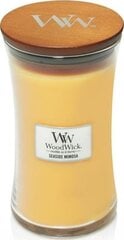 WoodWick Tuoksukynttilä Seaside Mimosa 609.5g hinta ja tiedot | Kynttilät ja kynttilänjalat | hobbyhall.fi