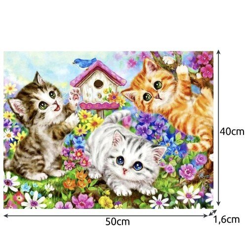 Numeromaalaus 40x50cm hinta ja tiedot | Maalaa numeroiden mukaan | hobbyhall.fi