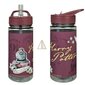 Juomapullo Harry Potter 500ml hinta ja tiedot | Juomapullot | hobbyhall.fi