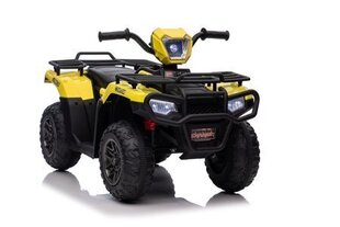 Quad JC915 sähkökäyttöinen lasten mönkijä, keltainen hinta ja tiedot | Lasten sähköautot | hobbyhall.fi