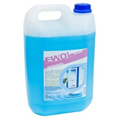 Lasinpesuaine Ewol Glass Antistatic, 5L hinta ja tiedot | Puhdistusaineet | hobbyhall.fi