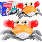 Liikkuva lelu "Running Crab" hinta ja tiedot | Poikien lelut | hobbyhall.fi