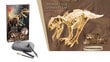 Arkeologinen kaivaussetti Dinosaur Tyrannosaurus Skeleton hinta ja tiedot | Kehittävät lelut | hobbyhall.fi