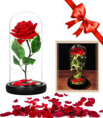 Ikuinen ruusu lasissa LED-valolla, punainen hinta ja tiedot | Kestoruusut | hobbyhall.fi