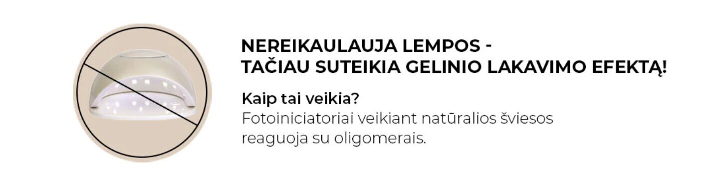 Vegaaninen kynsilakkasarja Didier Lab, Wild, 2 kpl hinta ja tiedot | Kynsilakat ja kynsienhoitotuotteet | hobbyhall.fi