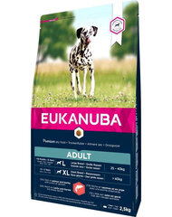 Koiranruoka Eukanuba Adult All Breeds Salmon aikuisille koirille, lohi, 2,5 kg hinta ja tiedot | Koiran kuivaruoka | hobbyhall.fi