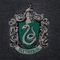 Harry Potter Slytherin Neulepusero 14174 hinta ja tiedot | Miesten neuleet ja villapaidat | hobbyhall.fi