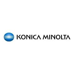 Konica-Minolta KonicaMinolta Kehittäjä DV-313 DV313 syaani (A7U40KD) hinta ja tiedot | Kalenterit ja muistikirjat | hobbyhall.fi