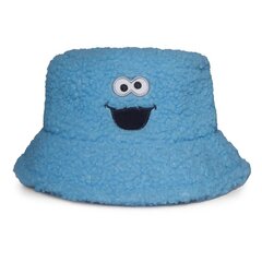 Sesame Street hellehattu Cookie Monster 121540 hinta ja tiedot | Miesten hatut, huivit ja käsineet | hobbyhall.fi