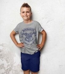 Lasten pyjama HarryPotter EV2032*01, tummanharmaa/tummansininen 3609086172556 hinta ja tiedot | Poikien kylpytakit ja pyjamat | hobbyhall.fi