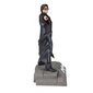 Harry Potter ja Liekehtivä Pikari figuuri 15 cm hinta ja tiedot | Poikien lelut | hobbyhall.fi