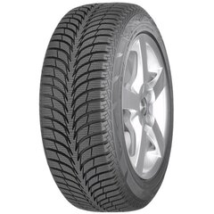 Sava Eskimo Ice 225/50R17 98 T XL hinta ja tiedot | Sava Autotuotteet | hobbyhall.fi