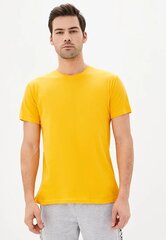 Miesten paita, keltainen hinta ja tiedot | Miesten T-paidat | hobbyhall.fi