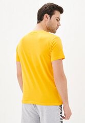 Miesten paita, keltainen hinta ja tiedot | Miesten T-paidat | hobbyhall.fi