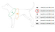 Amiplay Grand Soft Reflective säädettävät valjaat Heijastava, S, musta hinta ja tiedot | Koiran valjaat ja kaulapannat | hobbyhall.fi