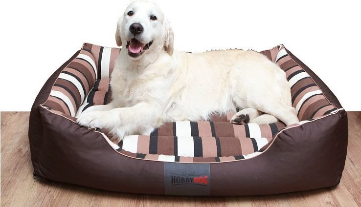 Lemmikinpeti Hobbydog Comfort XXL, ruskea hinta ja tiedot | Pedit ja pesät | hobbyhall.fi