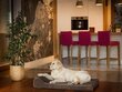 Hobbydogin patja lemmikkieläimille Fun Brown, M, 80x55 cm hinta ja tiedot | Pedit ja pesät | hobbyhall.fi