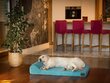 Hobbydog lemmikkipatja Fun Turquoise, L, 100x64 cm hinta ja tiedot | Pedit ja pesät | hobbyhall.fi