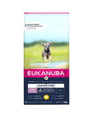 Eukanuba Puppy Grain Free S/M ravinto kananlihaa pienille ja keskikokoisille koirille, 3 kg. hinta ja tiedot | Koiran kuivaruoka | hobbyhall.fi