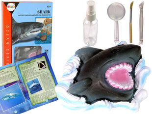 Arkeologisetti Shark hinta ja tiedot | Poikien lelut | hobbyhall.fi