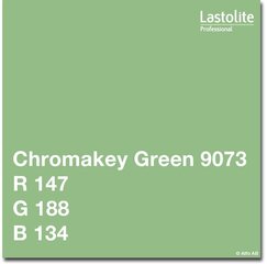 Manfrotto paperipuhelin 2,75×11m, Chromakey vihreä (9073) hinta ja tiedot | Valokuvaustarvikkeet | hobbyhall.fi