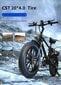 Sähköpyörä Cmacewheel T20, 20", musta, 750W, 17Ah hinta ja tiedot | Sähköpyörät | hobbyhall.fi