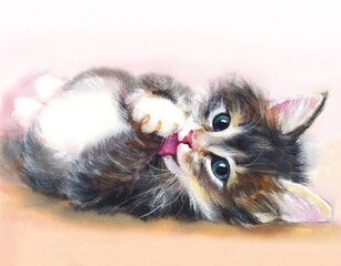 Timanttimaalaus setti, 40x50 cm, Cute kitten hinta ja tiedot | Timanttimaalaukset | hobbyhall.fi