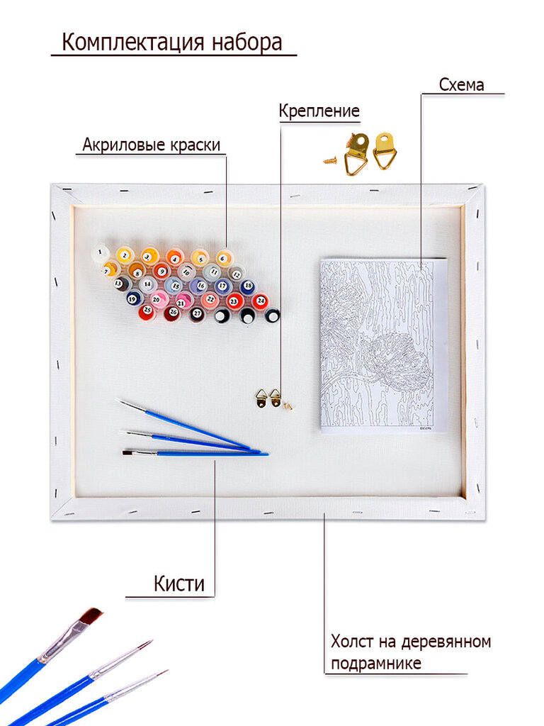 Maalaus numeroiden mukaan 40x50 cm, Parade of planets hinta ja tiedot | Maalaa numeroiden mukaan | hobbyhall.fi