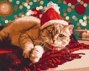 Paint It! Maalaus numeroiden mukaan, Joulupukin kissa hinta ja tiedot | Maalaa numeroiden mukaan | hobbyhall.fi