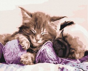 Paint It! Maalaus numeroiden mukaan, Kissa ja koira hinta ja tiedot | Symag Lapset | hobbyhall.fi