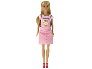 Anlily Doll Shop Set hinta ja tiedot | Tyttöjen lelut | hobbyhall.fi