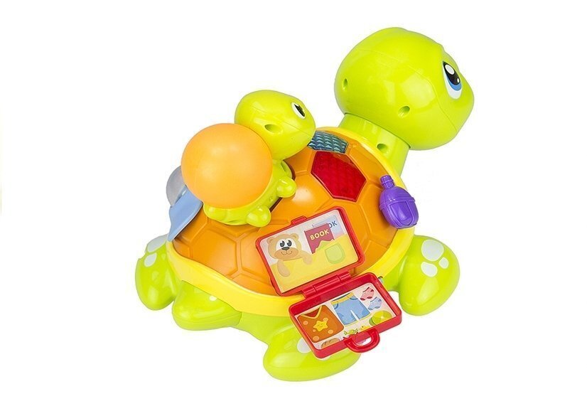 Värikäs interaktiivinen kilpikonna hinta ja tiedot | Vauvan lelut | hobbyhall.fi