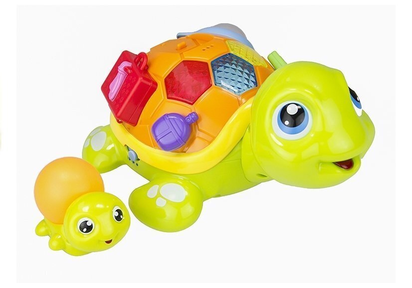 Värikäs interaktiivinen kilpikonna hinta ja tiedot | Vauvan lelut | hobbyhall.fi