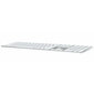 Apple MQ052Y/A hinta ja tiedot | Näppäimistöt | hobbyhall.fi