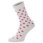 Naisten sukat ChiliLifestyle, eri värejä, 5 paria hinta ja tiedot | Naisten sukat | hobbyhall.fi