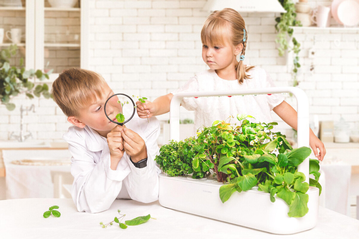 Click & Grow Smart Garden 9 Pro, valkoinen hinta ja tiedot | Sisäpuutarhat ja kasvilamput | hobbyhall.fi