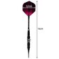 12 kpl Darts / Darts + tarvikkeita hinta ja tiedot | Darts | hobbyhall.fi