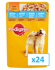 Säilykeruoka pennuille Pedigree Junior kanalla 24 x 100g hinta ja tiedot | Koiran märkäruoka | hobbyhall.fi