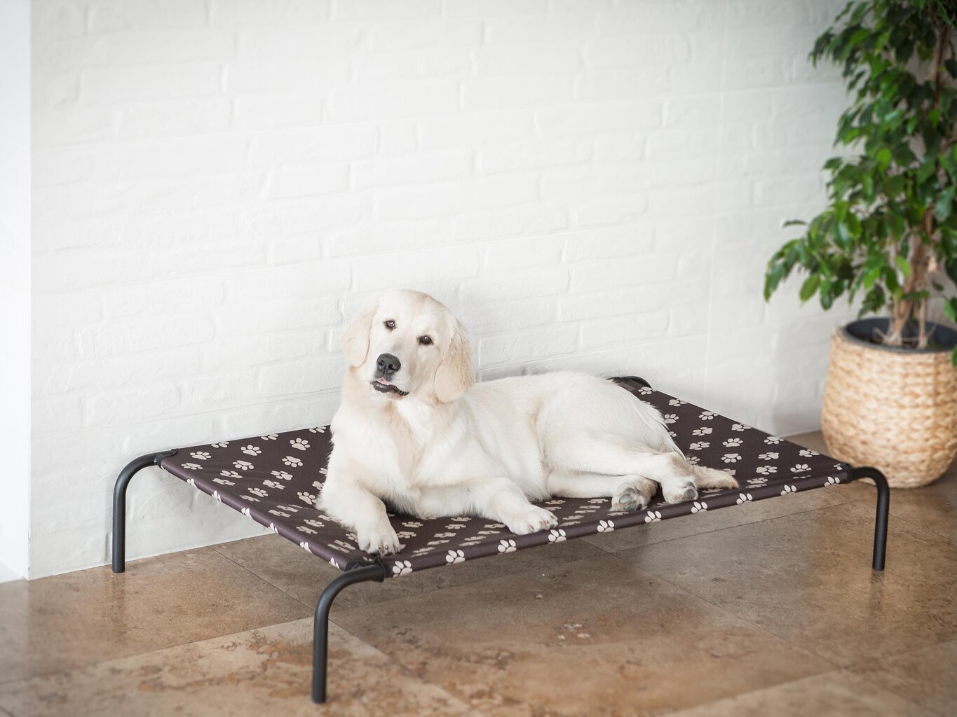 Koiranpesä Hobbydog Iron Brown Paws L, 80x42x15 cm hinta ja tiedot | Pedit ja pesät | hobbyhall.fi