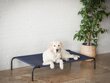 Hobbydog koiranpesä Iron Dark Blue XL, 100x55x20 cm hinta ja tiedot | Pedit ja pesät | hobbyhall.fi